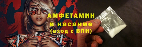 шишки Белокуриха