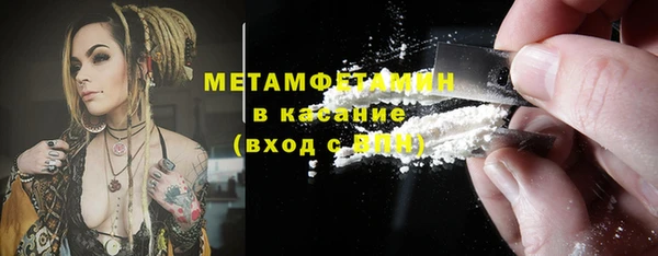 шишки Белокуриха