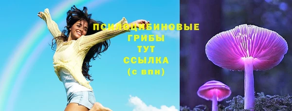гашик Богданович