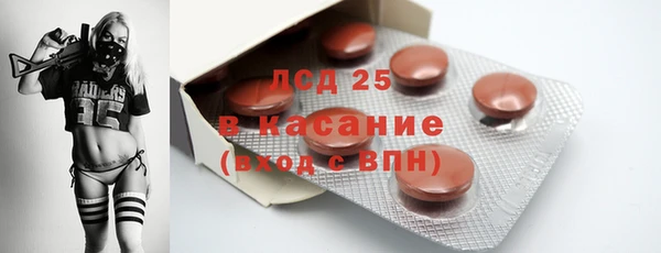 шишки Белокуриха