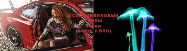 шишки Белокуриха