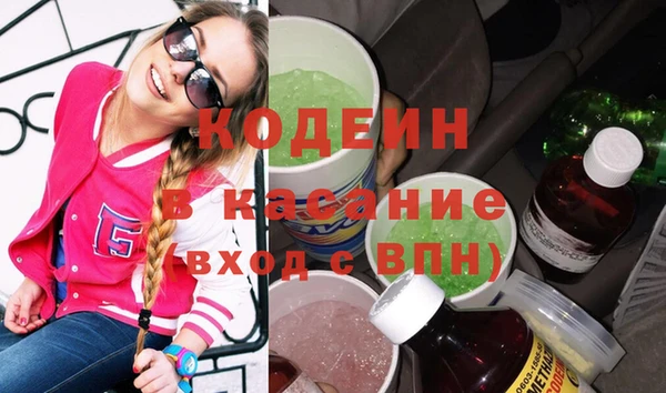 шишки Белокуриха