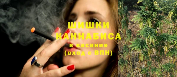 шишки Белокуриха