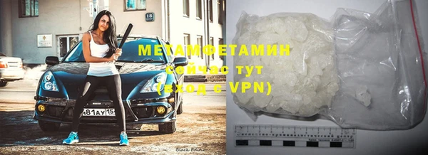 шишки Белокуриха
