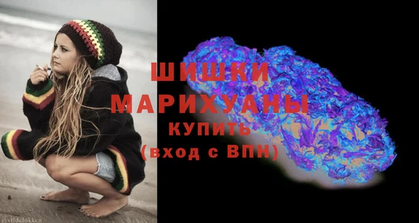 шишки Белокуриха