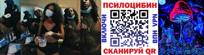 Галлюциногенные грибы Psilocybine cubensis  Красный Кут 